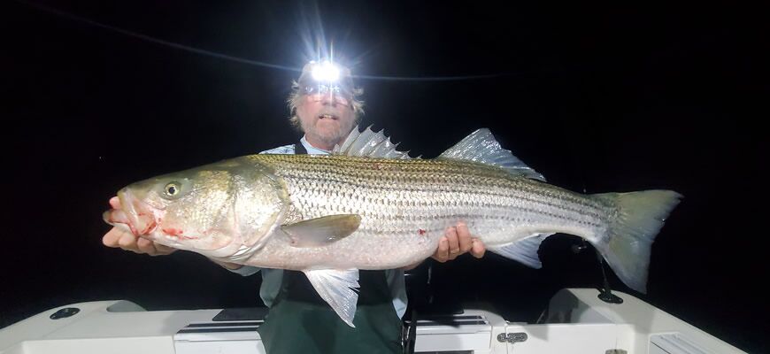 Night Fishing for Stripers