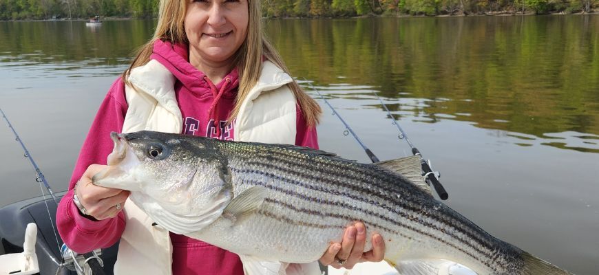 A woman holding a striped bass